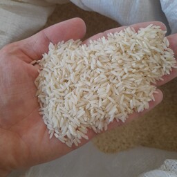 برنج طارم هاشمی  با وزن 10 کیلو گرم با کیفیت از بهترین مزارع کشاورزی استان مازندران