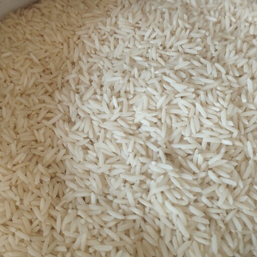 برنج دم سیاه اعلا 