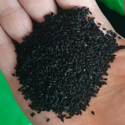 سیاهدونه سوری و ایرانی تمیز و بوجار شده  - مخصوص روغن گیری ، نانوایی و مصارف خانگی - هزینه ارسال با مشتری میباشد