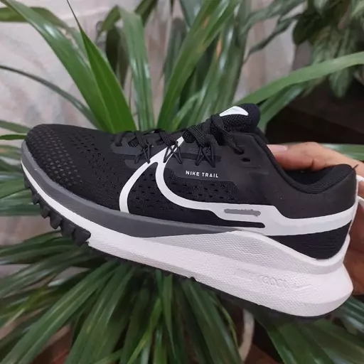 کفش  و کتونی رانینگ و پیاده روی نایک پگاسوس تریل 
nike pegasus trail