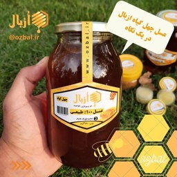 عسل طبیعی چهل گیاه 1 کیلویی