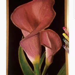 تابلو نقاشی پاستل گچی گل شیپوری قاب دار سایز A3