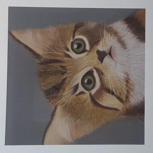 تابلو نقاشی پاستل گچی طرح گربه همراه قاب سایز 50 در 50