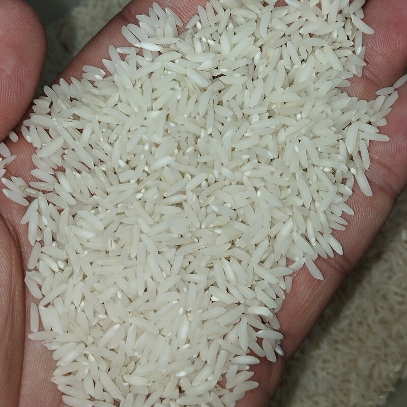 برنج طارم هاشمی درجه یک (تضمین کیفیت و پخت) بسته 10 کیلویی