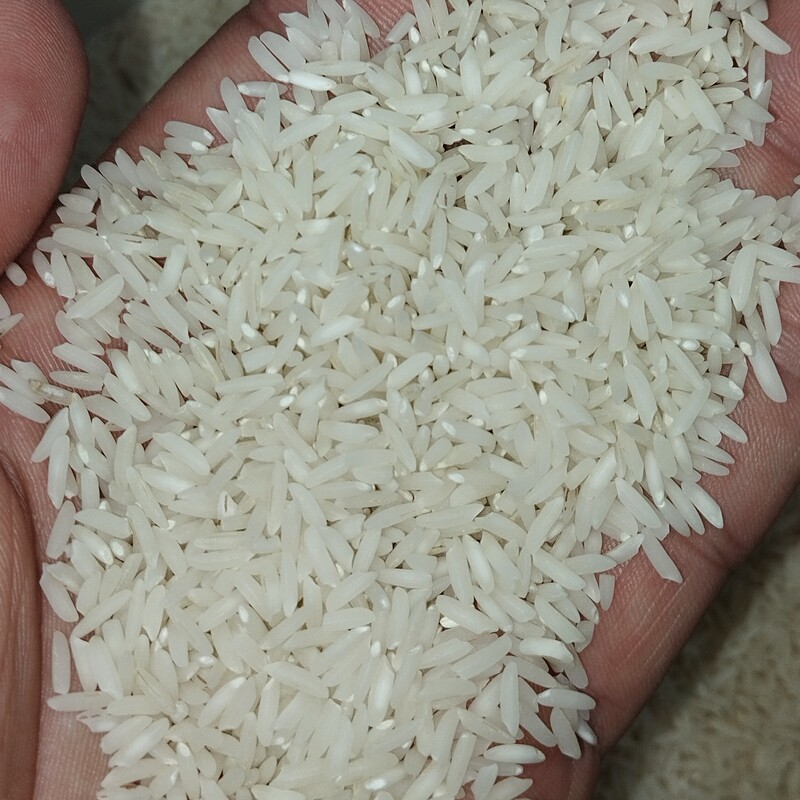 برنج طارم هاشمی اعلا (تضمین کیفیت و پخت) بسته یک کیلویی