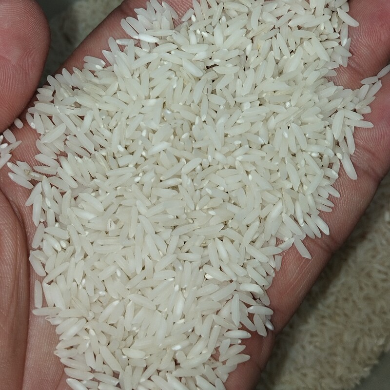 برنج طارم هاشمی اعلا (تضمین کیفیت و پخت) بسته بندی یک کیلویی 