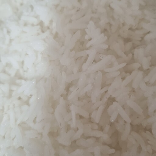 برنج چمپا  میداود  کیسه 10کیلویی