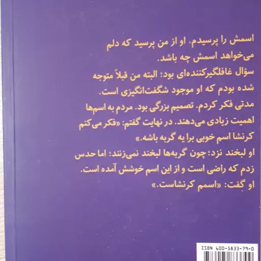 کتاب پاستیل های بنفش اثر کاترین اپلیگت ترجمه مریم شریعتی کاغذ بالکی