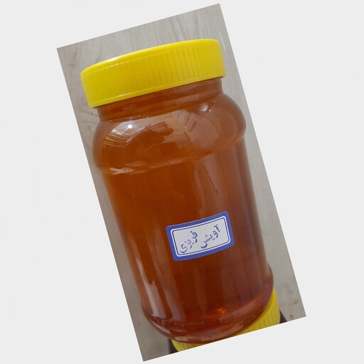 عسل آویشن فریزی،دارویی ، طبیعی و صد در صد طبیعی(یک کیلو)