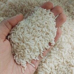 برنج طارم هاشمی درجه یک(5 کیلو گرم)غربال و سورت شده 