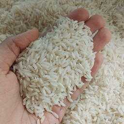 برنج  طارم هاشمی درجه یک (10 کیلوگرم)غربال و سورت شده