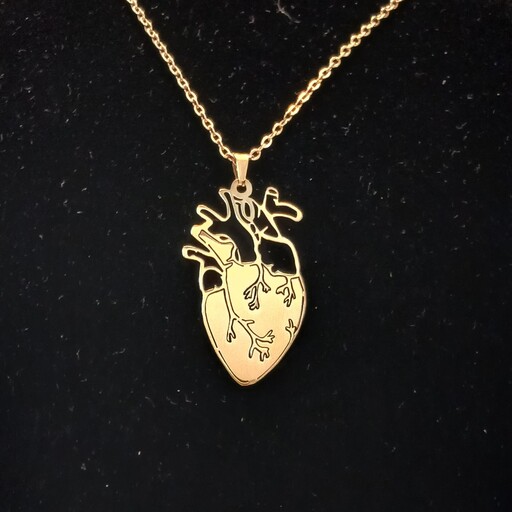 گردنبند قلب آناتومی با زنجیر استیل طلایی و نقره ای بسیار با کیفیت استیل رنگ ثابت خرید مستقیم از کارگاه