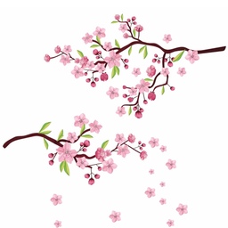 استیکر دیواری شکوفه گیلاس
