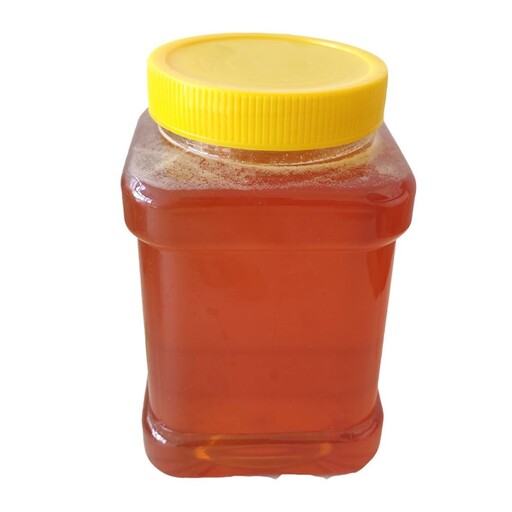 عسل طبیعی  گون   (1کیلو گرمی) 