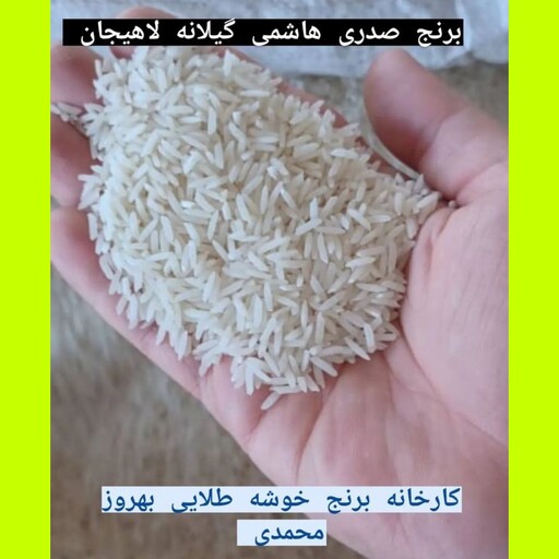 برنج صدری هاشمی ممتاز10کیلوگرم ارسال رایگان اعلاتضمین کیفیت شمال