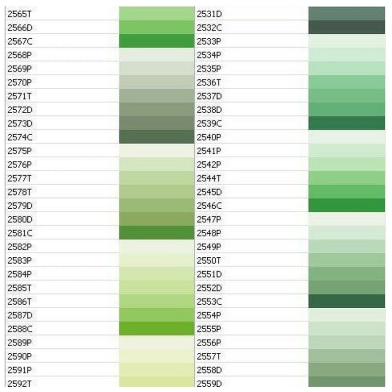 رنگ روغنی  سبز پسته ای ( ترکیب کامپیوتری) یک کیلویی 