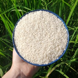 برنج دانه بلند هاشمی اعلاء 30 کیلویی آستانه اشرفیه 