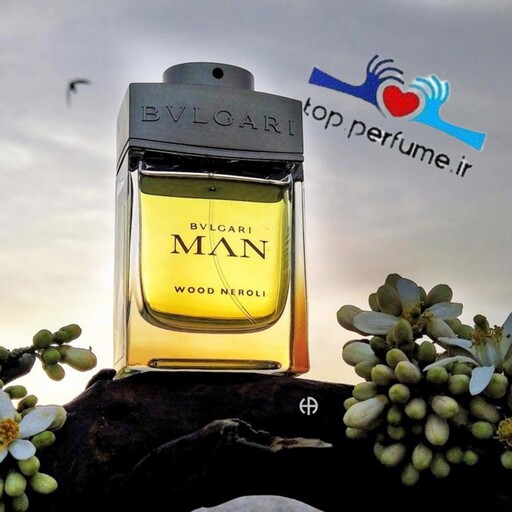 عطر ادکلن بولگاری من وود نرولی

مردانه وشیک.       