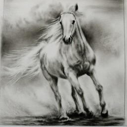 نقاشی سیاه قلم اسب با قاب
