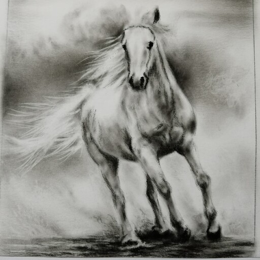 نقاشی سیاه قلم اسب 