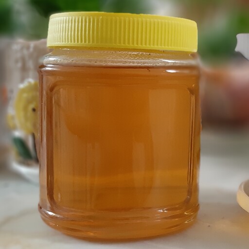 عسل طبیعی اصل یک کیلویی تازه فاقد شکر صددرصد طبیعی کیفیت بالا 