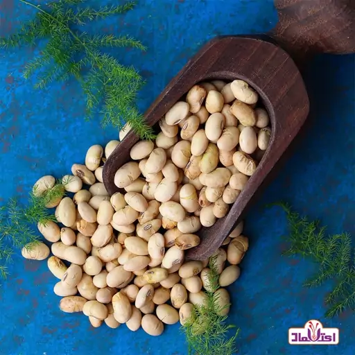 سویا آجیلی تازه 100 گرمی اعتماد ترش نمکی و خوش طعم 