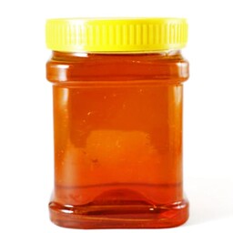 عسل گون طبیعی یک کیلویی محصول اردبیل دارای کپن ارسال رایگان
