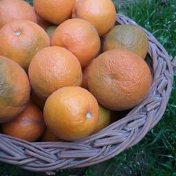 آب نارنج کاملا طبیعی و سالم و خانگی  1لیتری بدون هیچ ماده افزودنی 