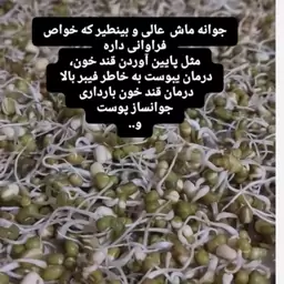 پودر جوانه ماش (خانگی) تولید روز و تازه  بدون هیچ افزودنی200 گرمی 