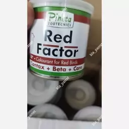 رنگدانه قرمز قناری و سهره Red Factor پینتا ایتالیا- 10 گرمی