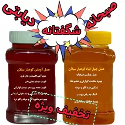 عسل ساکارز زیر یک درصد دیابتی و عسل صبحانه ارسال رایگان 