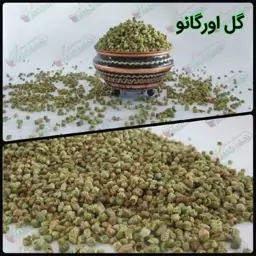 گل ارگانو بسته 50گرمی 