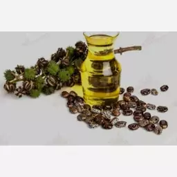 روغن کرچک خوراکی (کیفیت فوق ممتاز-تهیه به روش سنتی)100 cc