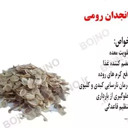 انجدان رومی آسیاب شده اعلا طعام البرکت پالایش ریه