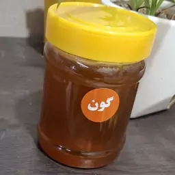 عسل گون 500 گرمی