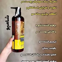 شامپو روغن آرگان لاینتس