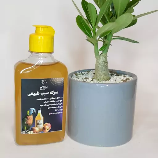 سرکه سیب طبیعی (قابل استفاده برای انسان و پرندگان)