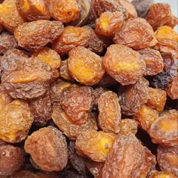 آلو بخارا گوشتی با پوست درجه یک (500 گرمی )