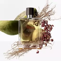 عطر مردانه تق هرمس 