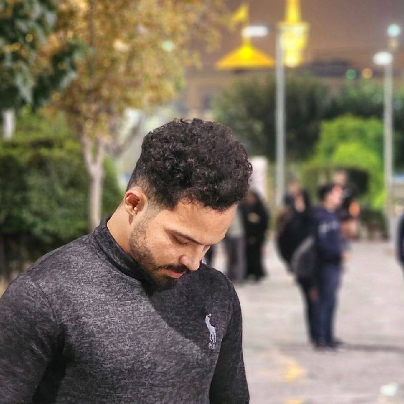 سید مصطفی حسینی نجفی