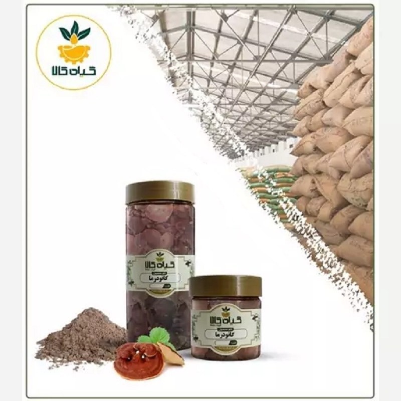 قارچ گانودرما با کیفیت عالی، بار امسالی و تازه(100گرمی )