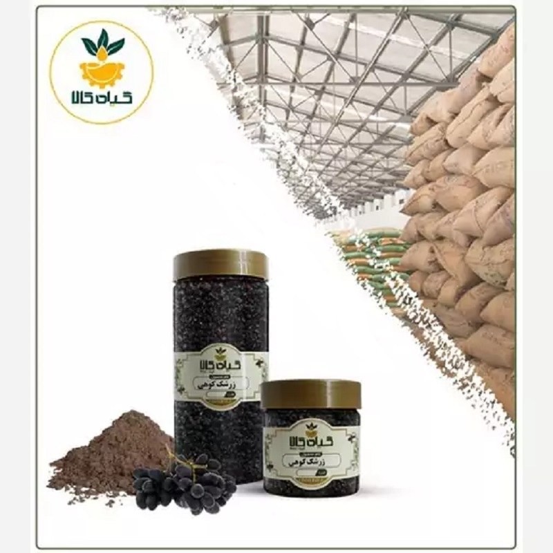 زرشک کوهی پودر شده با کیفیت عالی، بار امسالی و تازه(100گرمی)