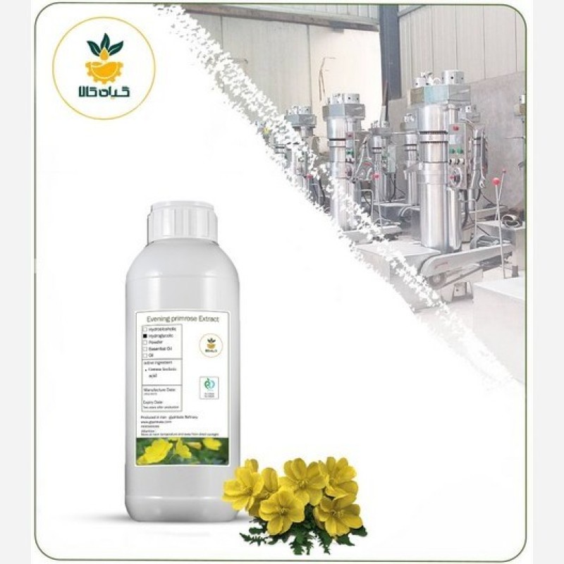 روغن گل مغربی موضعی صددرصد خالص 1 لیتری