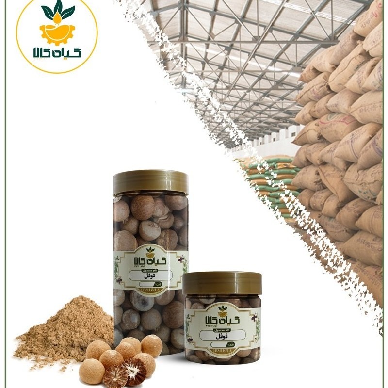 فوفل خشک با کیفیت عالی، بار امسالی و تازه(500گرمی )