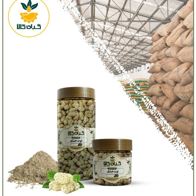 توت خشک، پودر شده، بار امسالی و تازه(50گرمی)