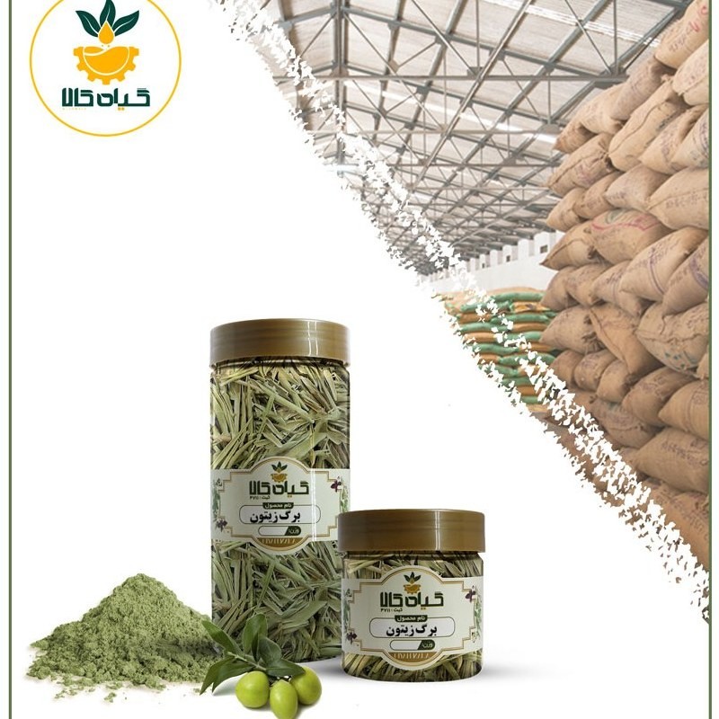 برگ زیتون، بار امسالی و تازه(1کیلوگرم)