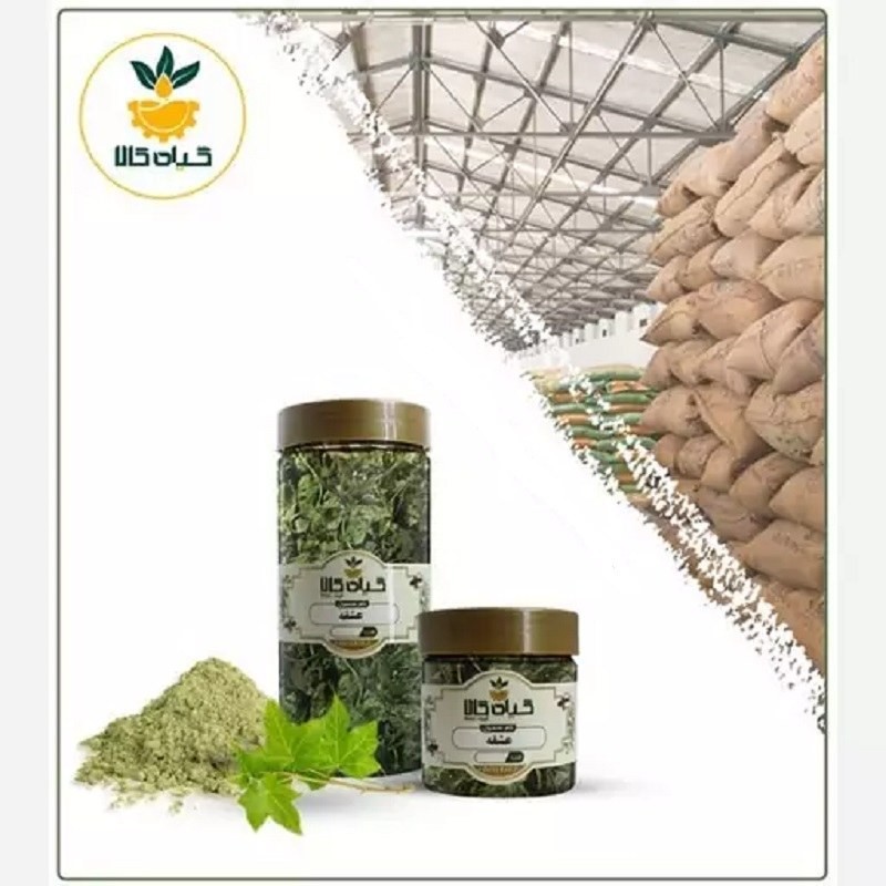 گیاه عشقه با کیفیت عالی، بار امسالی و تازه(500گرمی)