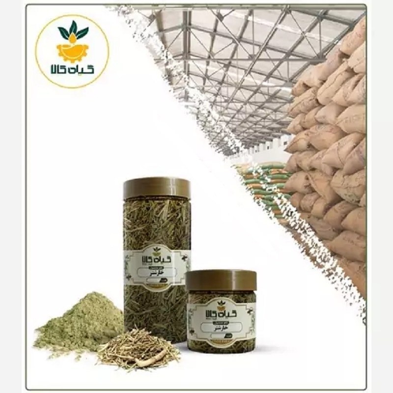 گیاه خارشتر پودر شده با کیفیت عالی، بار امسالی و تازه(500گرمی  )