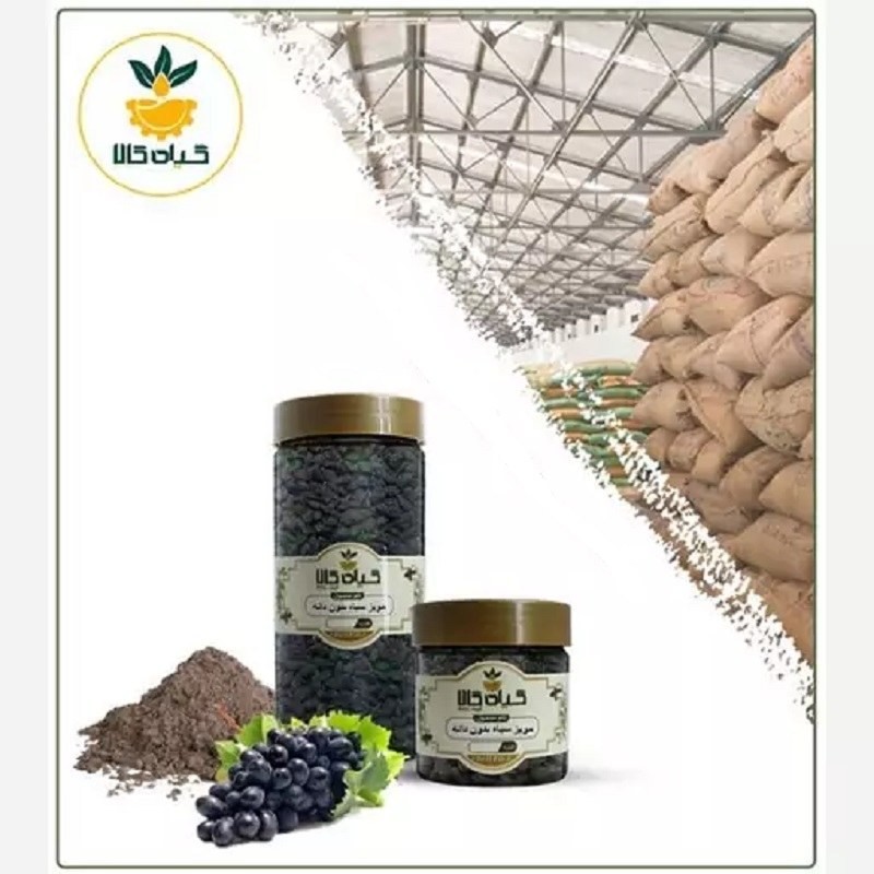مویز سیاه (بدون دانه )، بار امسالی و تاز( 500 گرمی )