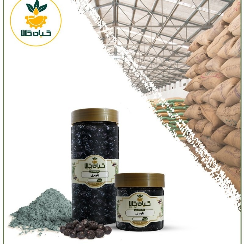 میوه بلوبری پودر شده ، بار امسالی و تازه(100گرمی)